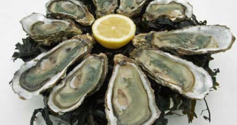 Calorie content Pacific oyster, raw. Chemical composition and nutritional value.
