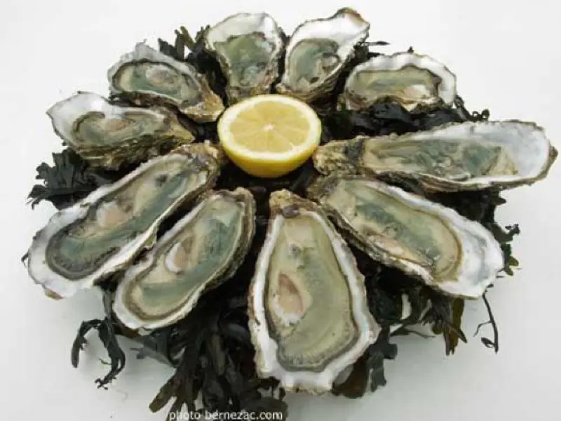 Calorie content Pacific oyster, raw. Chemical composition and nutritional value.