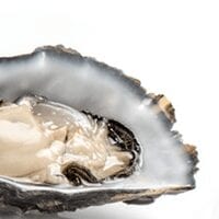 卡路里含量牡蛎，蒸熟。 化学成分和营养价值。