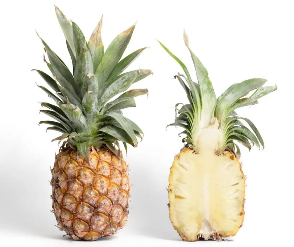 Calorie content Pineapple, all varieties. Chemical composition and nutritional value.