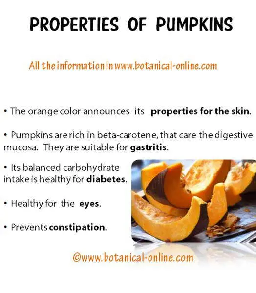 Calorie content Pumpkin. Chemical composition and nutritional value.