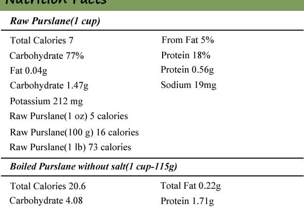 Kalorijų kiekis Portulakas, virtas, be druskos. Cheminė sudėtis ir maistinė vertė.