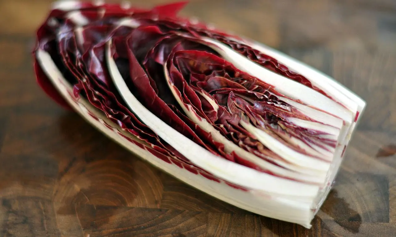 Calorie content Radicchio (Italian chicory), raw. Chemical composition and nutritional value.