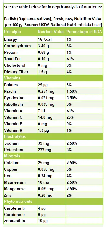 Calorie content Radish with oil 1-78 each. Chemical composition and nutritional value.