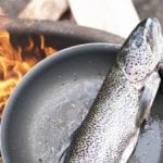 Fish calories and nutrients