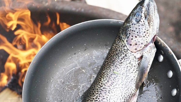 Kandungan kalori Rainbow trout, liar, dimasak dalam keadaan panas. Komposisi kimia dan nilai pemakanan.