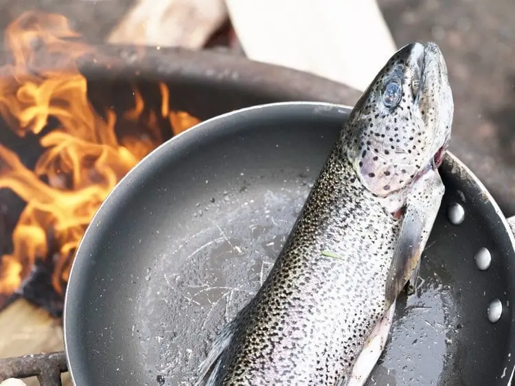 Calorie content Rainbow trout, wild. Chemical composition and nutritional value.