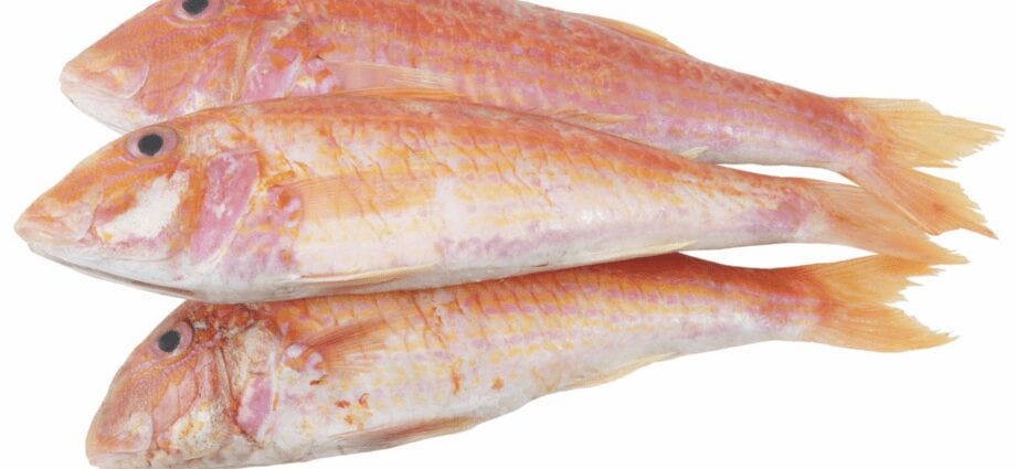 Calorie content Red mullet, raw. Chemical composition and nutritional value.