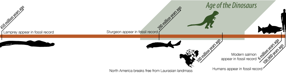 Calorie content River lamprey, spring. Chemical composition and nutritional value.