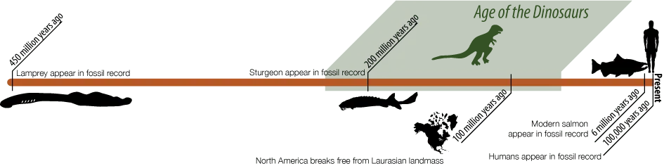 Calorie content River lamprey, spring. Chemical composition and nutritional value.