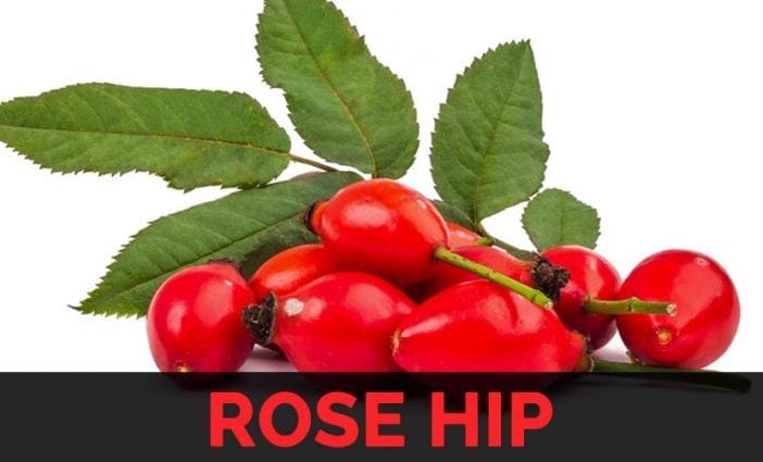卡路里含量玫瑰果干。 化学成分和营养价值。