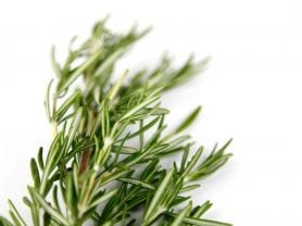 Calorie content Rosemary, fresh. Chemical composition and nutritional value.