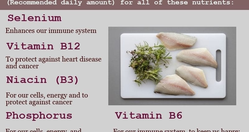 Calorie content Sea bream. Chemical composition and nutritional value.