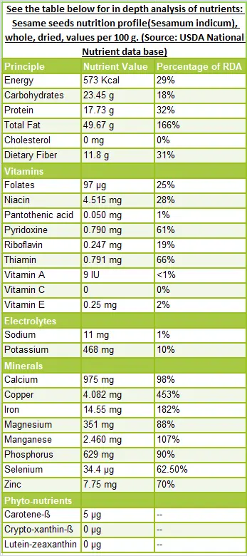 Calorie content Sesame, toasted, with salt. Chemical composition and nutritional value.
