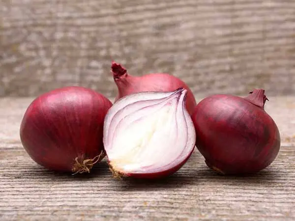 Calorie content Shallots, raw. Chemical composition and nutritional value.