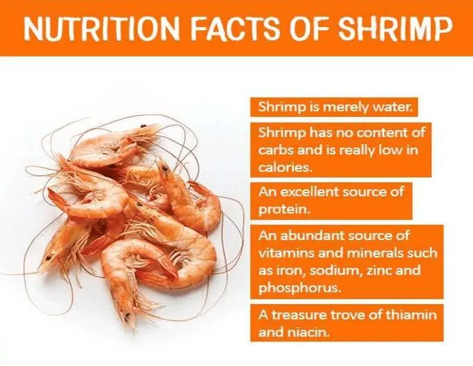 Calorie content Shrimp, all kinds, raw. Chemical composition and nutritional value.
