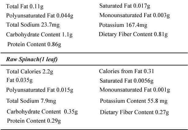Kandungan kalori Bayam, rebus, dengan garam. Komposisi kimia dan nilai pemakanan.