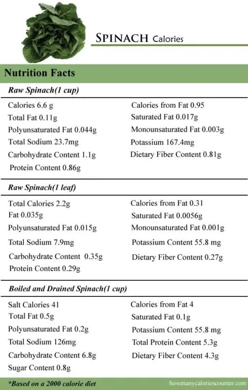 Calorie content Spinach, boiled, with salt. Chemical composition and nutritional value.