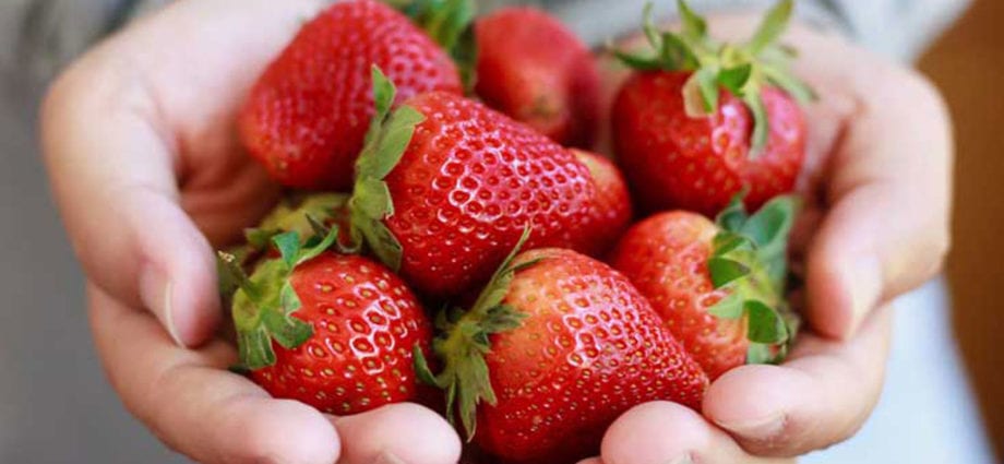 Calorie content Strawberries, raw. Chemical composition and nutritional value.