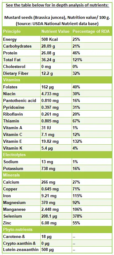 Calorie content Table mustard. Chemical composition and nutritional value.