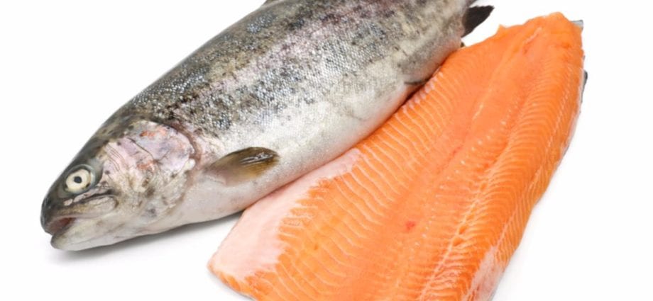 محتوى السعرات الحرارية سمك السلمون المرقط بأنواعه مطبوخ في الحرارة. التركيب الكيميائي والقيمة الغذائية.