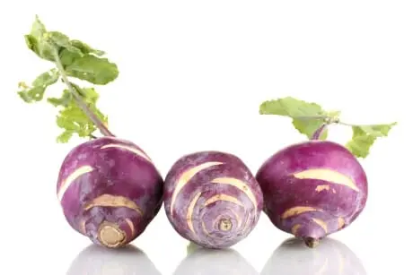 Calorie content Turnips with herbs, frozen, boiled, with salt. Chemical composition and nutritional value.