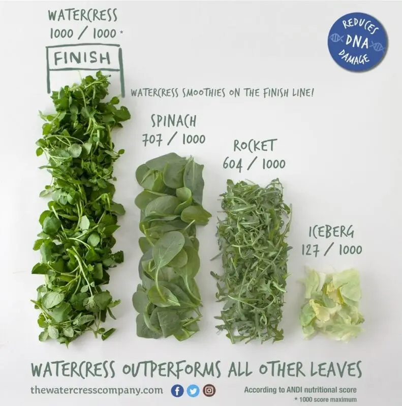 Calories Watercress, boiled, with salt. Chemical composition and nutritional value.