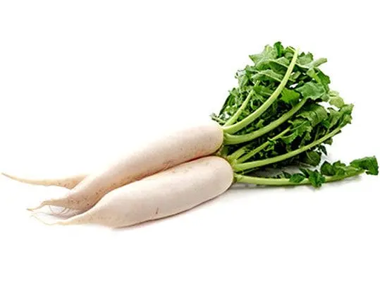 Calorie content White radish. Chemical composition and nutritional value.