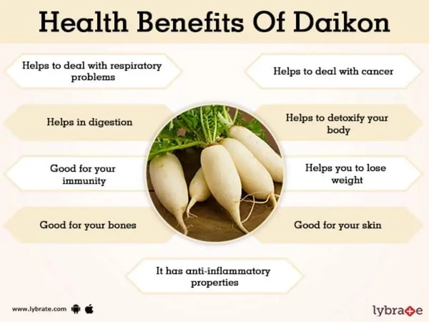 Calorie content White radish (daikon, oriental radish). Chemical composition and nutritional value.