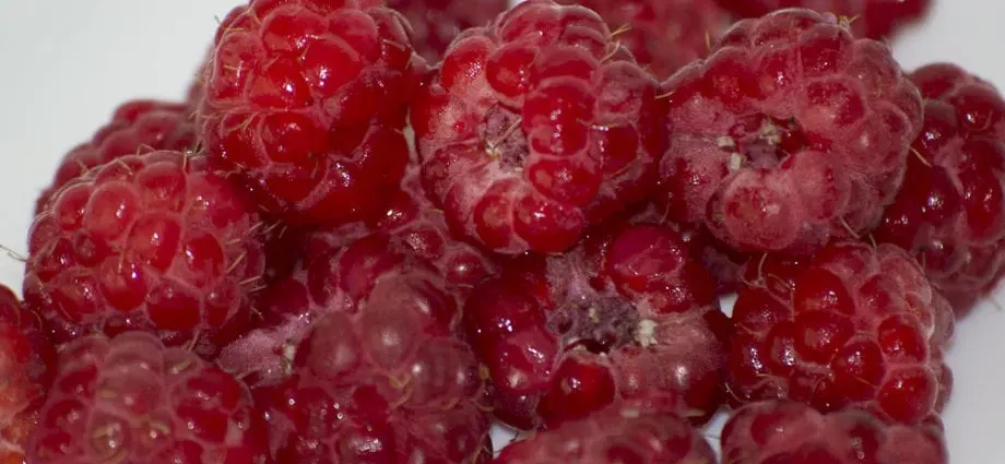 Calorie content Wild raspberries (Indians of the northern great plains). Chemical composition and nutritional value.