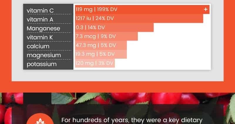 Calorie content Wild rose, North American. Chemical composition and nutritional value.