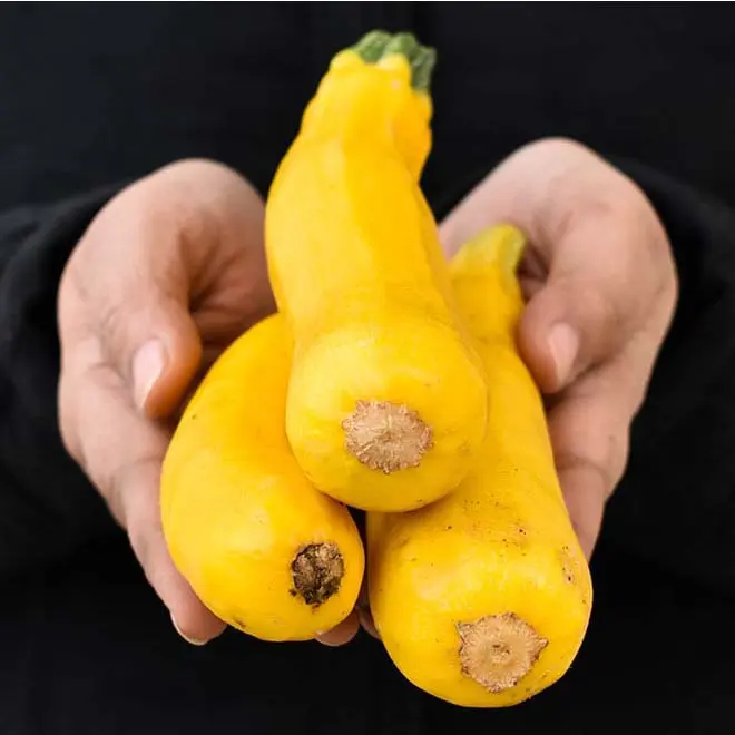 Calorie content Zucchini yellow. Chemical composition and nutritional value.
