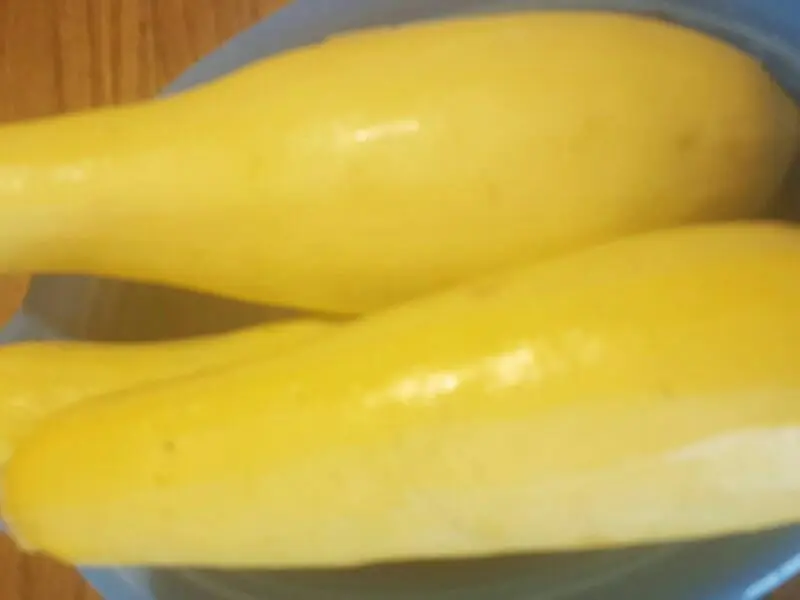 Calorie content Zucchini yellow, frozen, boiled, no salt. Chemical composition and nutritional value.