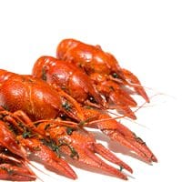 Calorie Crayfish, selvagem, cozido no vapor. Composição química e valor nutricional.