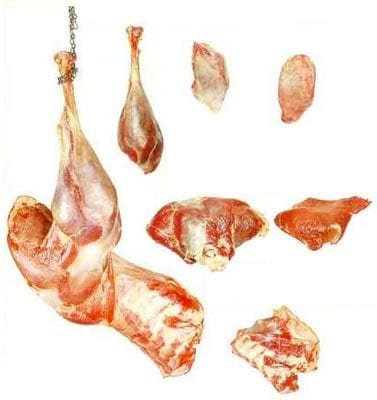 Calorie Emu, tender back meat, raw. Chemical composition and nutritional value.