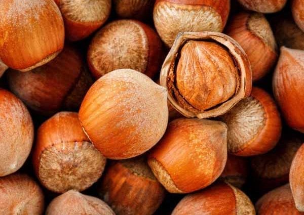 Calorie Hazelnuts, blanched. Chemical composition and nutritional value.