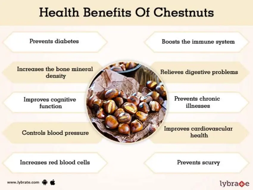 Calorie Japanese chestnut, baked. Chemical composition and nutritional value.