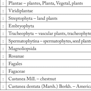 Calorie Japanese chestnut. Chemical composition and nutritional value.