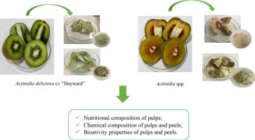 Calorie Kiwi, puree. Chemical composition and nutritional value.