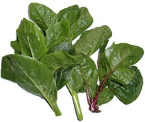 Calorie Malabar spinach (basella), raw. Chemical composition and nutritional value.