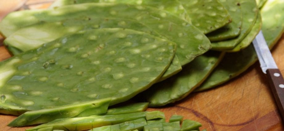 Calorie Nopal (Mexican cactus), stems, raw. Chemical composition and nutritional value.