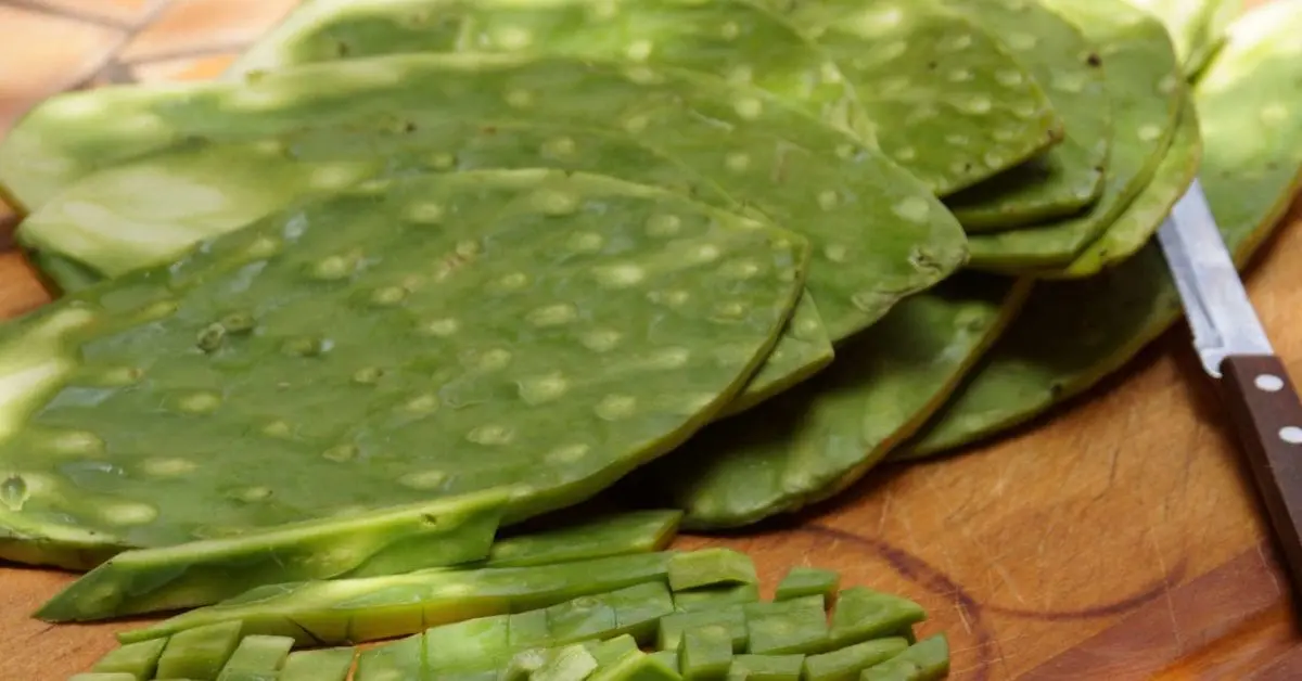 Calorie Nopal (Mexican cactus), stems, raw. Chemical composition and nutritional value.