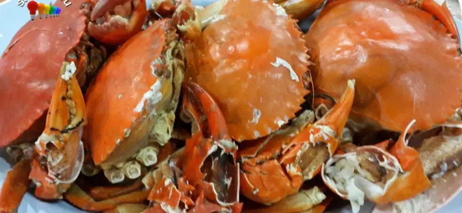 Calorie Steamed Kamchatka crab. Chemical composition and nutritional value.