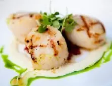 Calorie Steamed scallop. Chemical composition and nutritional value.