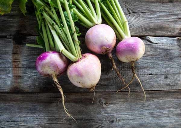 Calorie Turnips, boiled, no salt. Chemical composition and nutritional value.