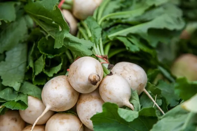 Calorie Turnips, frozen, uncooked. Chemical composition and nutritional value.