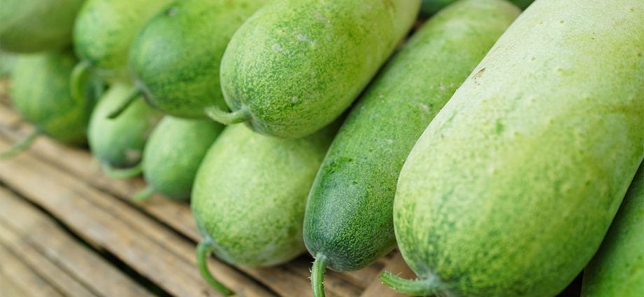 Calorie Wax gourd, raw. Chemical composition and nutritional value.