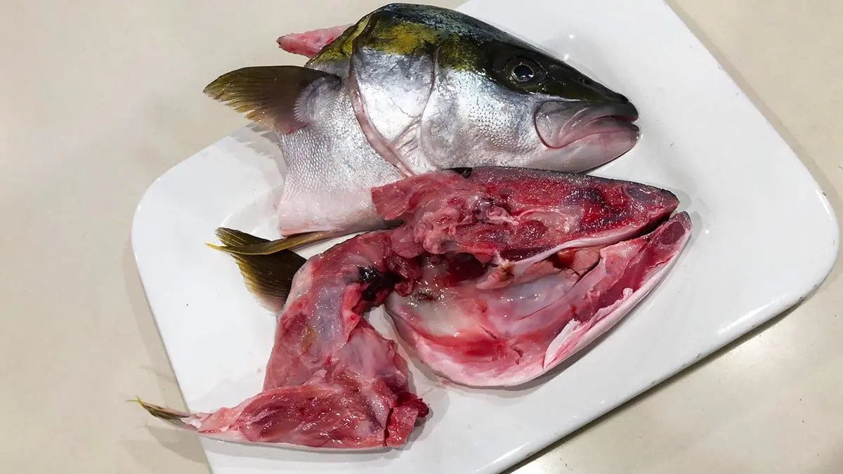 Calorie Whitefish, boil, head, eyes, cheek, soft bones, (Alaska). Chemical composition and nutritional value.