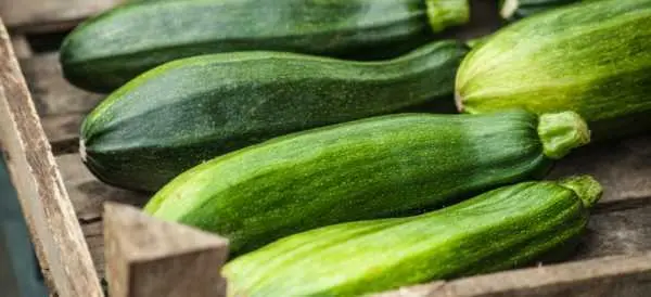 Calorie Zucchini, all varieties. Chemical composition and nutritional value.