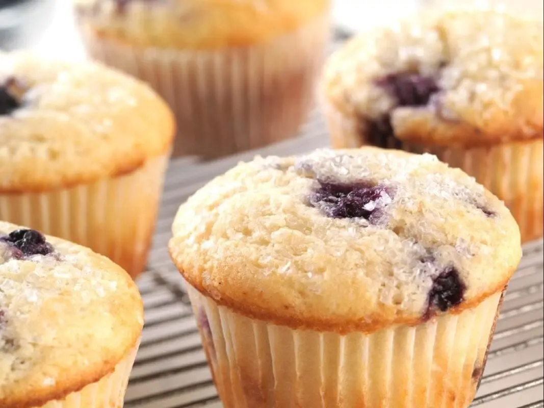 Calories Blueberry muffins, industrial made, low fat, 4.22% fat. Chemical composition and nutritional value.